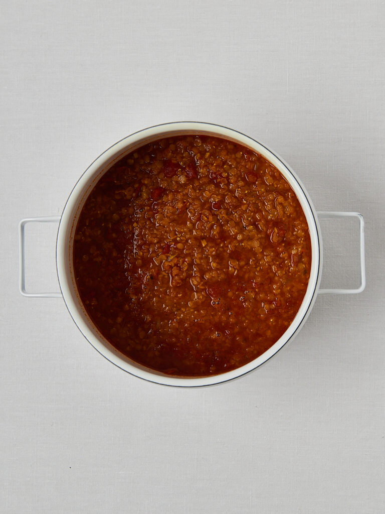 Rotes Linsen Dal pur in weißer Suppenschüssel, sämige Konsistenz, von oben