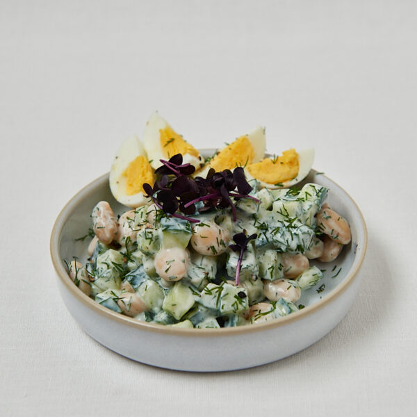 Gurken Dill Joghurt Bowl mit weißen Bohnen und Eierhälften – frontale Studioaufnahme