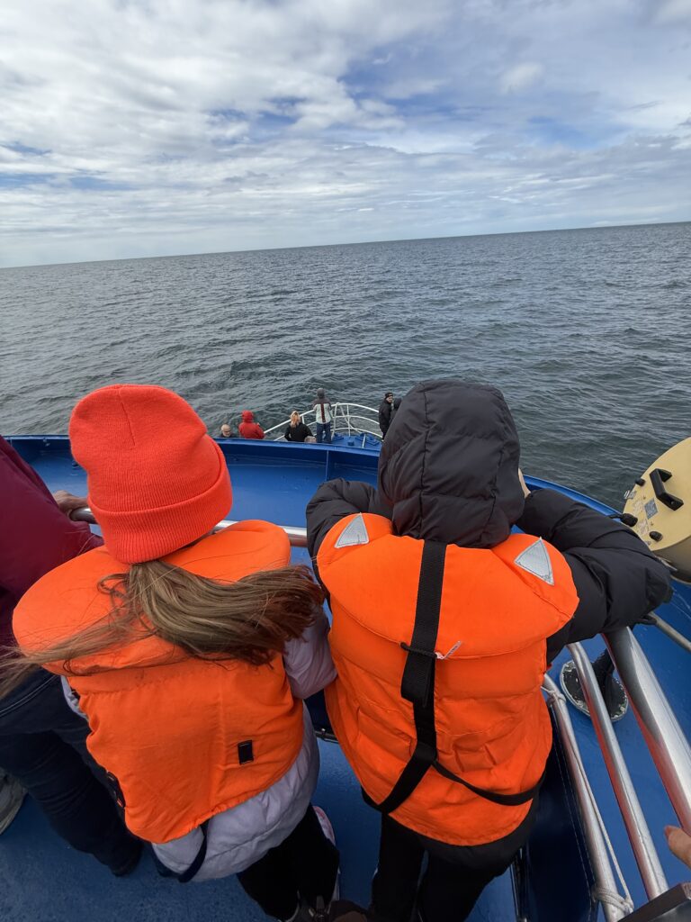 whale watching