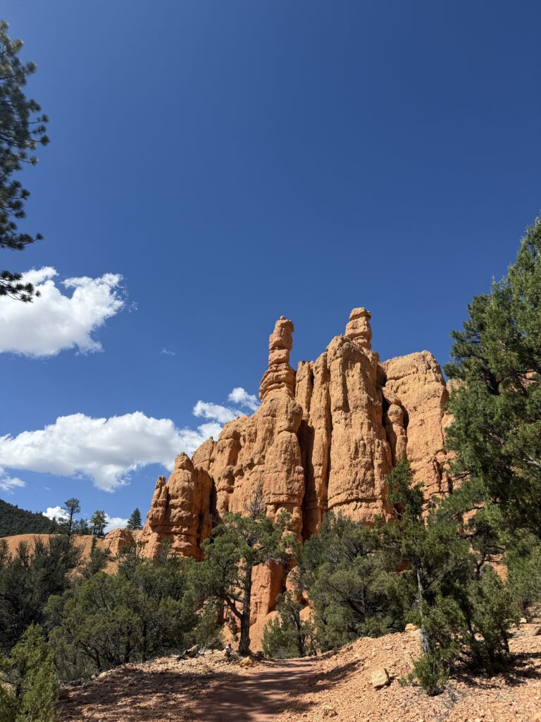 Zion National park